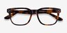 Adriatic Tortoise AcetateEyeglass Frames from EyeBuyDirect, Closed View