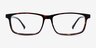 Jonas Tortoise   Black AcetateEyeglass Frames from EyeBuyDirect, Front View
