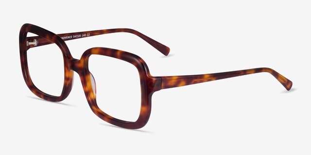 Provence Tortoise AcetateEyeglass Frames from EyeBuyDirect, Angle View