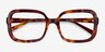 Provence Tortoise AcetateEyeglass Frames from EyeBuyDirect, Closed View