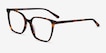 Nobel Tortoise AcetateEyeglass Frames from EyeBuyDirect, Angle View