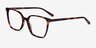 Nobel Tortoise AcetateEyeglass Frames from EyeBuyDirect, Angle View