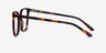 Nobel Tortoise AcetateEyeglass Frames from EyeBuyDirect, Side View