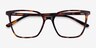 Nobel Tortoise AcetateEyeglass Frames from EyeBuyDirect, Closed View