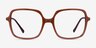 Domingo Brown AcetateEyeglass Frames from EyeBuyDirect, Front View