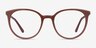 Apogee Brown AcetateEyeglass Frames from EyeBuyDirect, Front View
