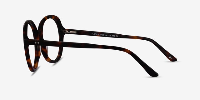 Florescence Tortoise AcetateEyeglass Frames from EyeBuyDirect, Side View
