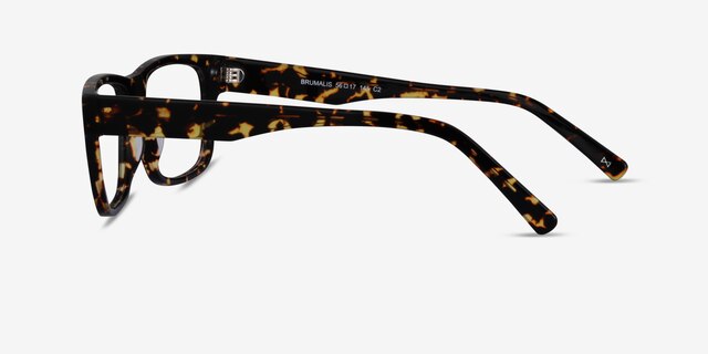 Brumalis Tortoise AcetateEyeglass Frames from EyeBuyDirect, Side View