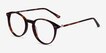 Riviere Tortoise Alternative MaterialsEyeglass Frames from EyeBuyDirect, Angle View