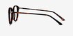 Riviere Tortoise Alternative MaterialsEyeglass Frames from EyeBuyDirect, Side View