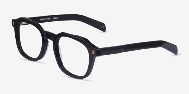 Apricus Black AcetateEyeglass Frames from EyeBuyDirect, Angle View