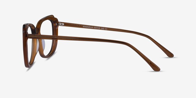 Magnolia Clear Brown AcetateEyeglass Frames from EyeBuyDirect, Side View