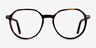 Ebullience Tortoise AcetateEyeglass Frames from EyeBuyDirect, Front View