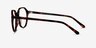 Ebullience Tortoise AcetateEyeglass Frames from EyeBuyDirect, Side View