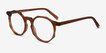 Primula Clear Brown AcetateEyeglass Frames from EyeBuyDirect, Angle View