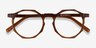 Primula Clear Brown AcetateEyeglass Frames from EyeBuyDirect, Closed View