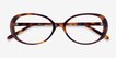 Surrey Tortoise AcetateEyeglass Frames from EyeBuyDirect, Closed View