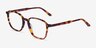 Ashby Tortoise AcetateEyeglass Frames from EyeBuyDirect, Angle View