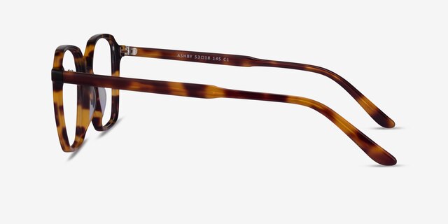 Ashby Tortoise AcetateEyeglass Frames from EyeBuyDirect, Side View