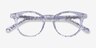 Luminary Clear Silver AcetateEyeglass Frames from EyeBuyDirect, Closed View