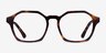 Famous Tortoise AcetateEyeglass Frames from EyeBuyDirect, Front View