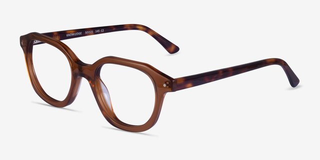 Knowledge Clear Brown Tortoise AcetateEyeglass Frames from EyeBuyDirect, Angle View