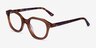 Knowledge Clear Brown Tortoise AcetateEyeglass Frames from EyeBuyDirect, Angle View