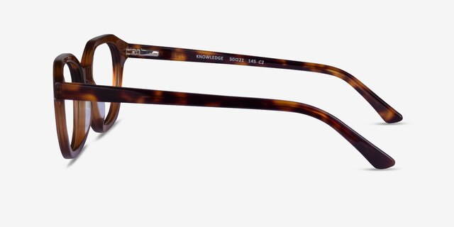 Knowledge Clear Brown Tortoise AcetateEyeglass Frames from EyeBuyDirect, Side View