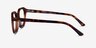 Knowledge Clear Brown Tortoise AcetateEyeglass Frames from EyeBuyDirect, Side View