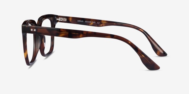 Ursus Tortoise AcetateEyeglass Frames from EyeBuyDirect, Side View