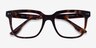 Ursus Tortoise AcetateEyeglass Frames from EyeBuyDirect, Closed View