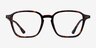 Whistler Tortoise PlasticEyeglass Frames from EyeBuyDirect, Front View