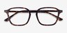 Whistler Tortoise PlasticEyeglass Frames from EyeBuyDirect, Closed View