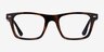 Hemlock Tortoise AcetateEyeglass Frames from EyeBuyDirect, Front View