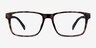 Beech Tortoise Eco-friendlyEyeglass Frames from EyeBuyDirect, Front View