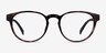 Hawthorne Tortoise Eco-friendlyEyeglass Frames from EyeBuyDirect, Front View