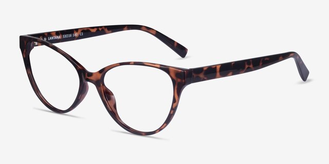 Lantana Tortoise PlasticEyeglass Frames from EyeBuyDirect, Angle View