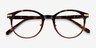 Dotti Tortoise Gold AcetateEyeglass Frames from EyeBuyDirect, Closed View