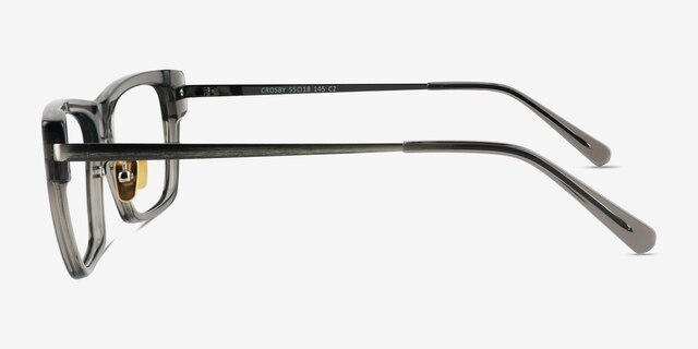 Crosby Clear Gray Gunmetal AcetateEyeglass Frames from EyeBuyDirect, Side View