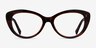 Rhea Tortoise AcetateEyeglass Frames from EyeBuyDirect, Front View
