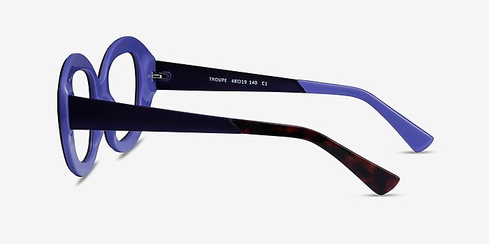 Troupe Tortoise Purple Acetate Eyeglass Frames from EyeBuyDirect