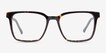 Mod Tortoise Gray AcetateEyeglass Frames from EyeBuyDirect, Front View