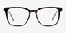 Mod Tortoise Gray AcetateEyeglass Frames from EyeBuyDirect, Front View