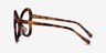 Aphrodite Tortoise AcetateEyeglass Frames from EyeBuyDirect, Side View