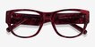 Aine Red Floral AcetateEyeglass Frames from EyeBuyDirect, Closed View