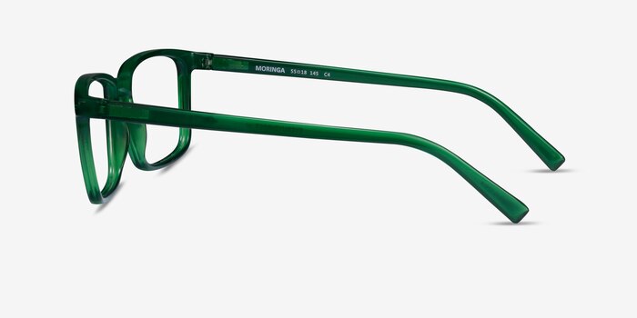 Moringa Green Eco-friendly Eyeglass Frames from EyeBuyDirect
