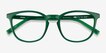 Persea Green PlasticEyeglass Frames from EyeBuyDirect, Closed View