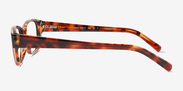 Rafi Tortoise AcetateEyeglass Frames from EyeBuyDirect, Side View