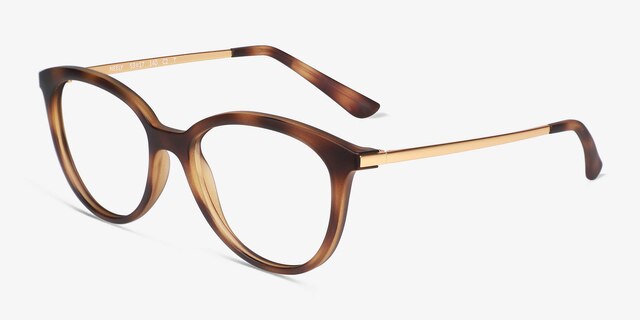 Neely Matte Tortoise PlasticEyeglass Frames from EyeBuyDirect, Angle View