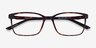 Mosey Tortoise PlasticEyeglass Frames from EyeBuyDirect, Closed View